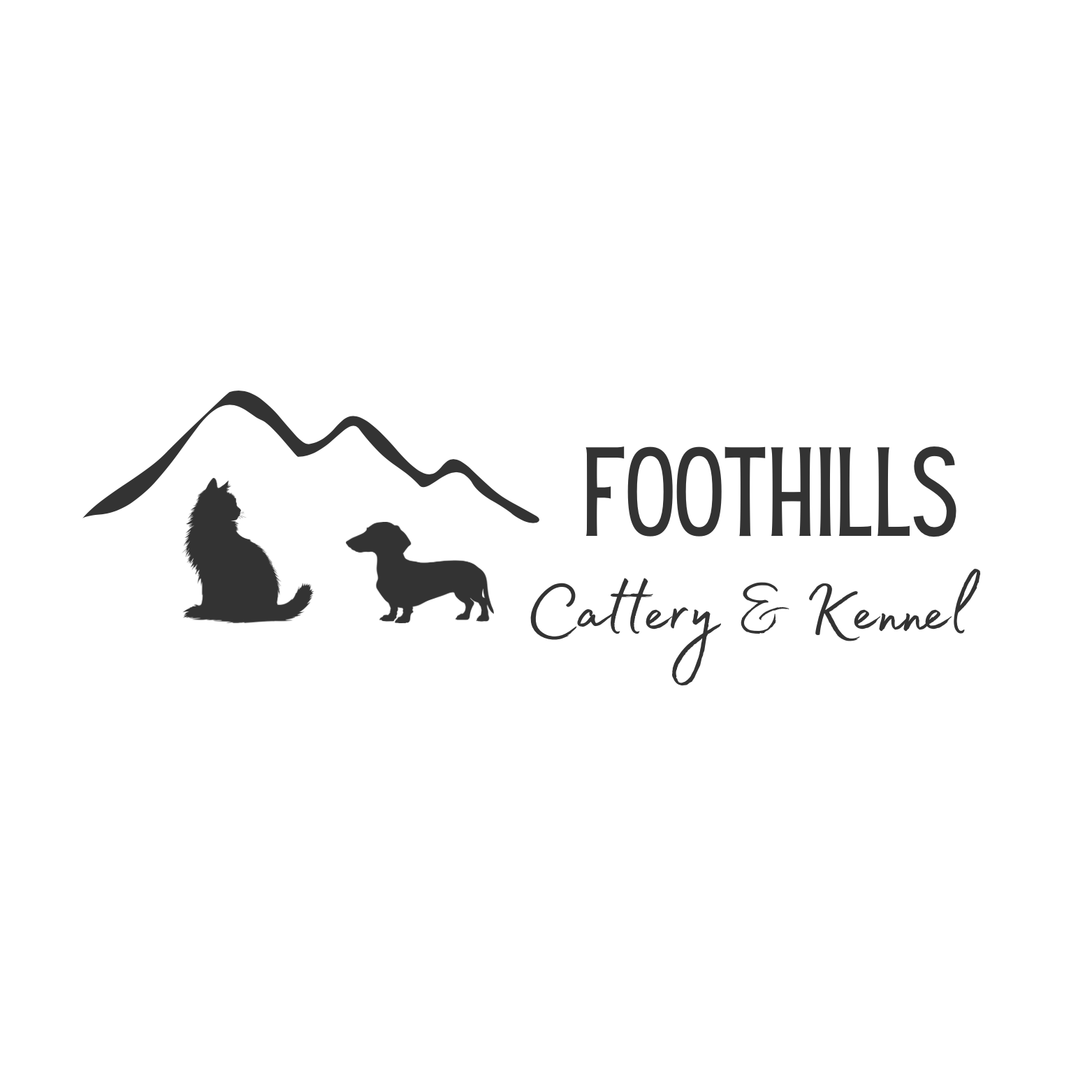 Foothills Maine Coon Cats & Dachshunds